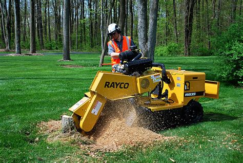 stump grinder for skid steer rental|tree stump removal rental equipment.